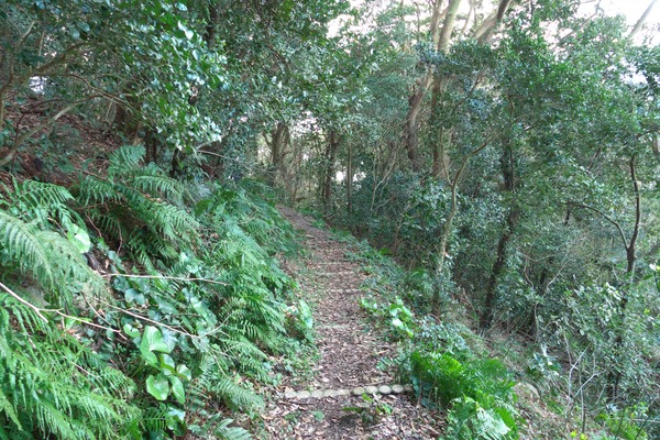 s-P1090404