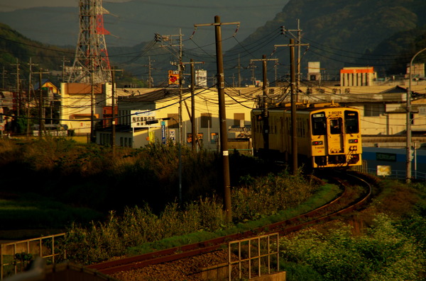 IMGP1266