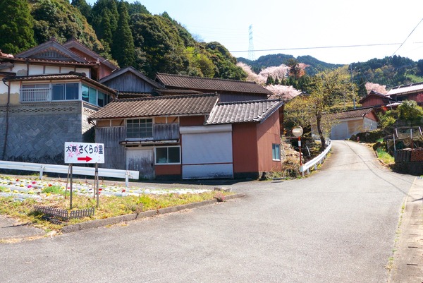 s-P1120216