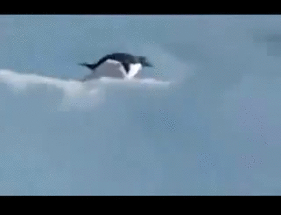 ペンギン はぇ すっごいおっきい ガバガバ歴史速報