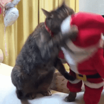ネコとかいうかわいいだけで何の役にも立たない畜生 ガバガバ歴史速報 ネコとかいうかわいいだけで何の役にも立たない畜生 ガバガバ歴史速報