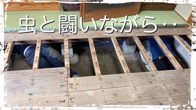980F9A78-DBD2-40F4-A16B-0AACDB1B1815