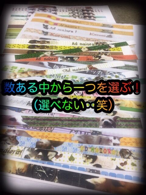 642227E5-01F4-4B48-A224-FAC05273892E