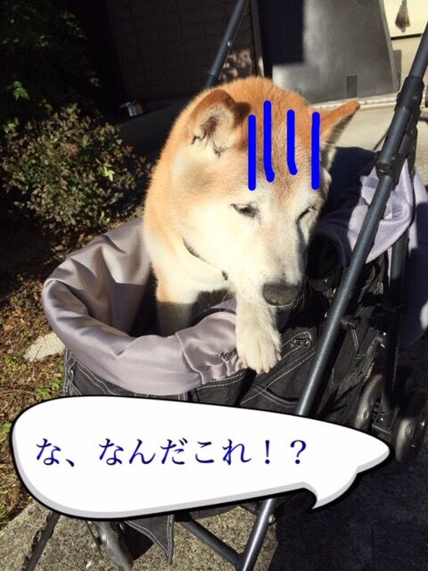 CFCF75E8-634A-4C1C-837D-C842ED32F632