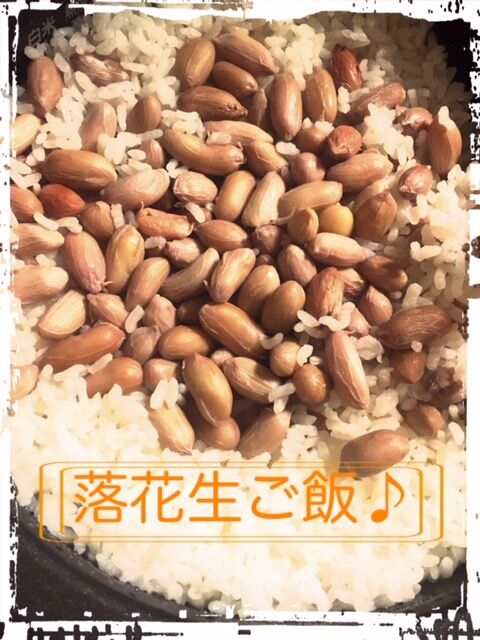 8C2BFB9E-54C6-49F8-BB05-5D95348CEA38