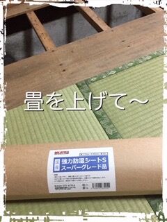 B6538E61-9087-4213-9A56-E2D6334E1189