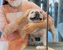 今日も