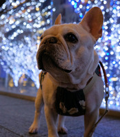 Blue&Snowの色合いが大好き☆