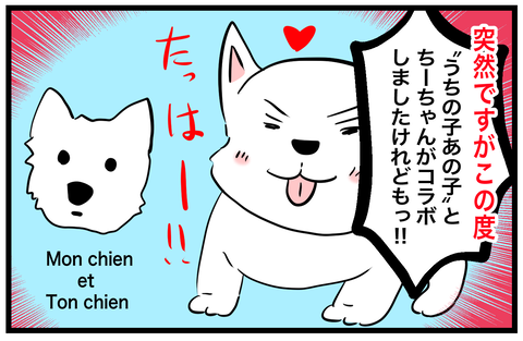 🐶うちのこあのことコラボしましたけどもっ❣️ : ちーちゃんっ🐾 