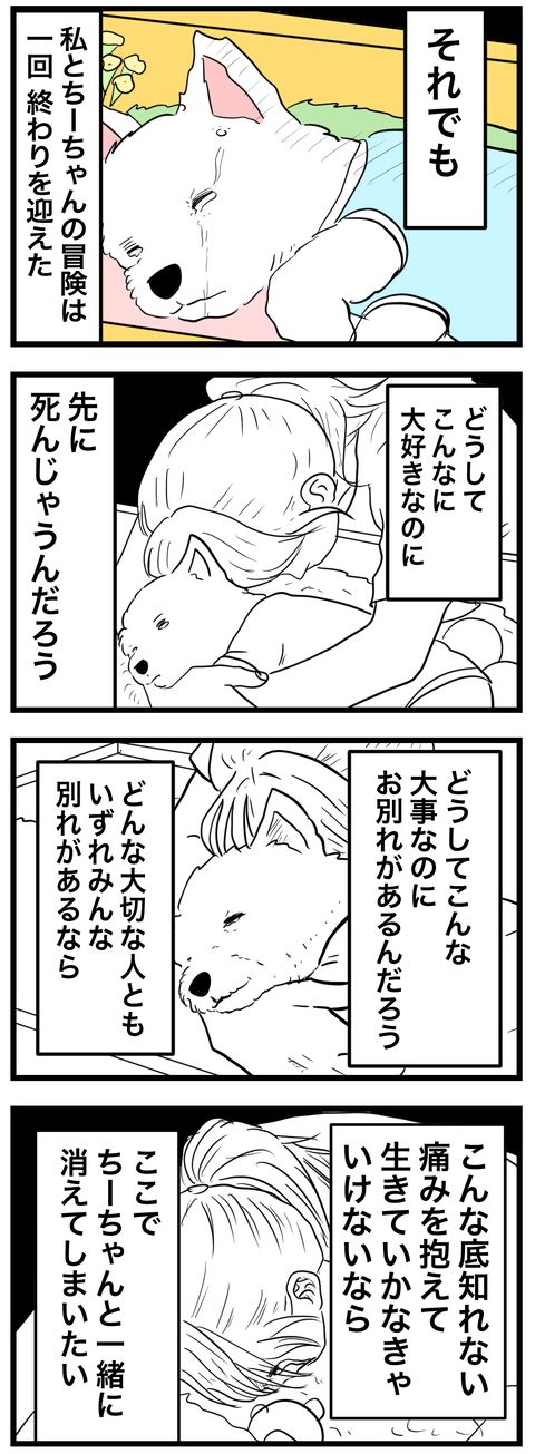 ちーちゃん6-2