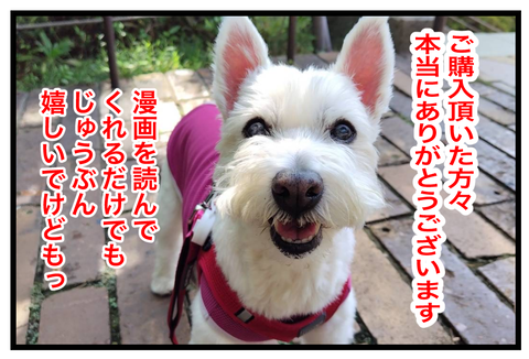 chizu259