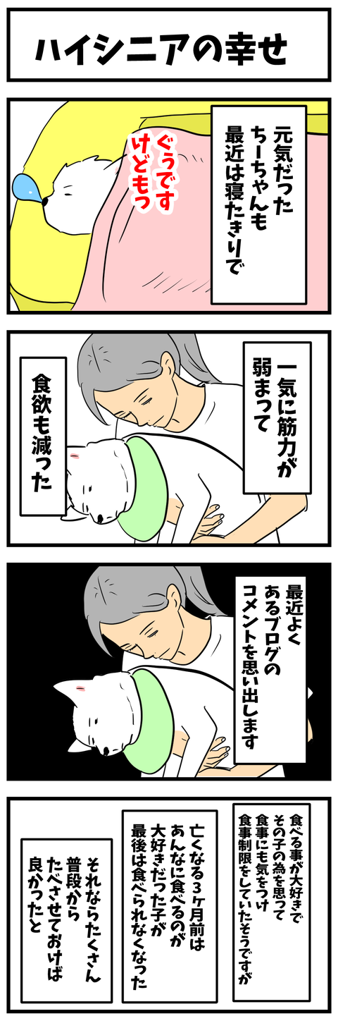chizu369