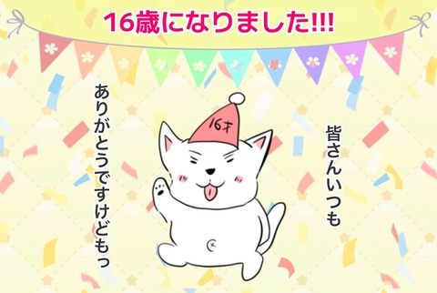 🐶ちーちゃん16歳になりましたけどもっ🍰❤️ : ちーちゃんっ🐾