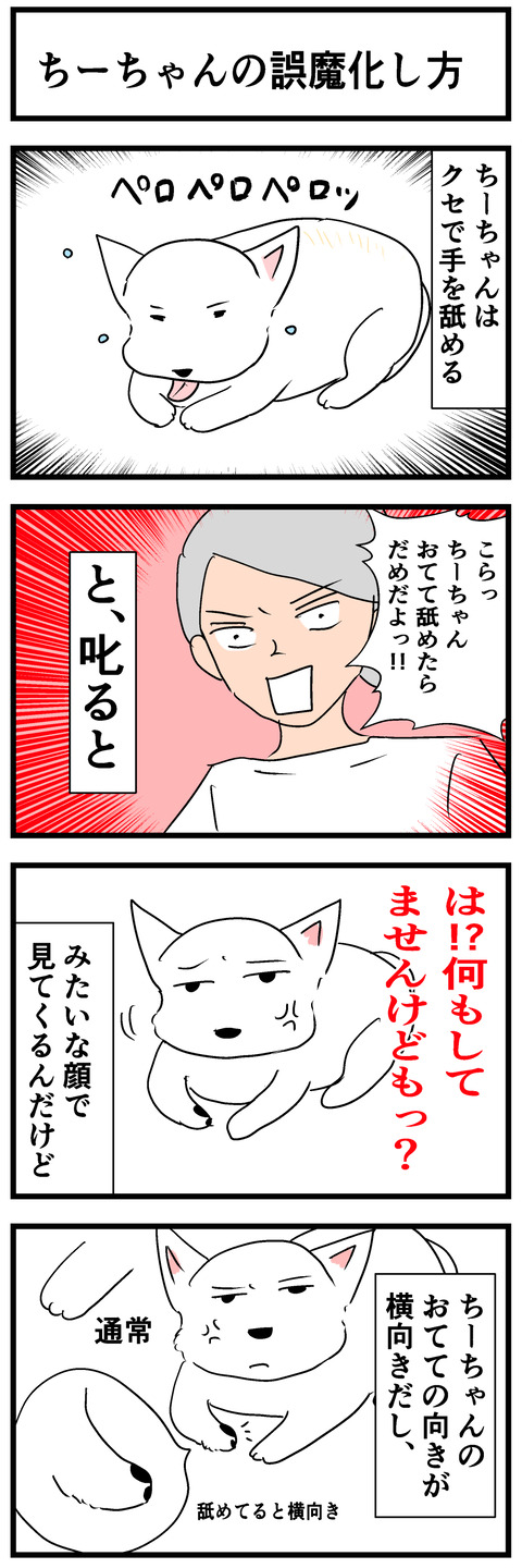 ちーちゃん404-1