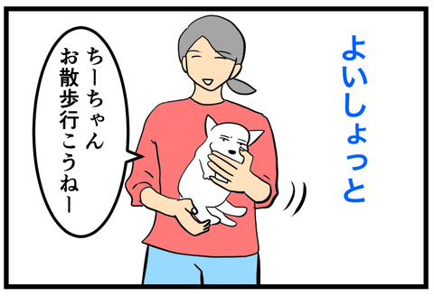 🐶それすらも何か愛おしい🐾 : ちーちゃんっ🐾