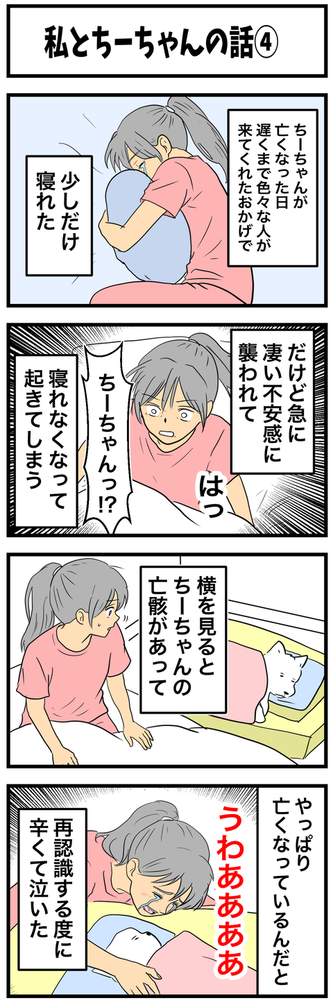 ちーちゃん4-1