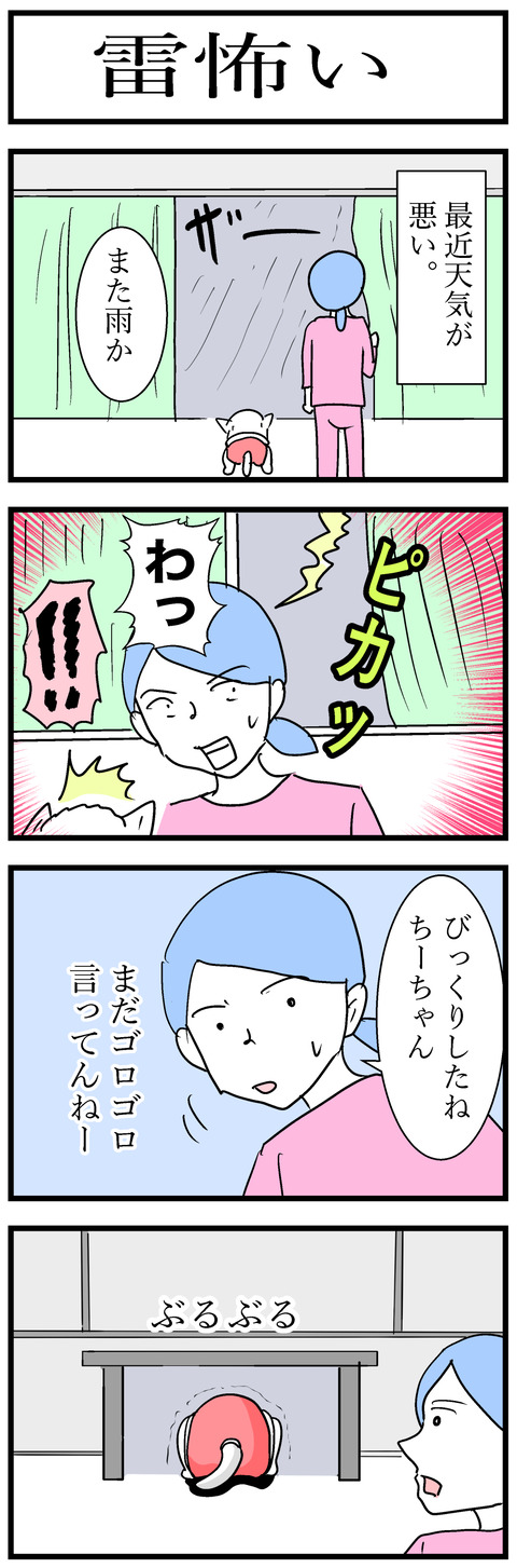 ちーちゃん123-1