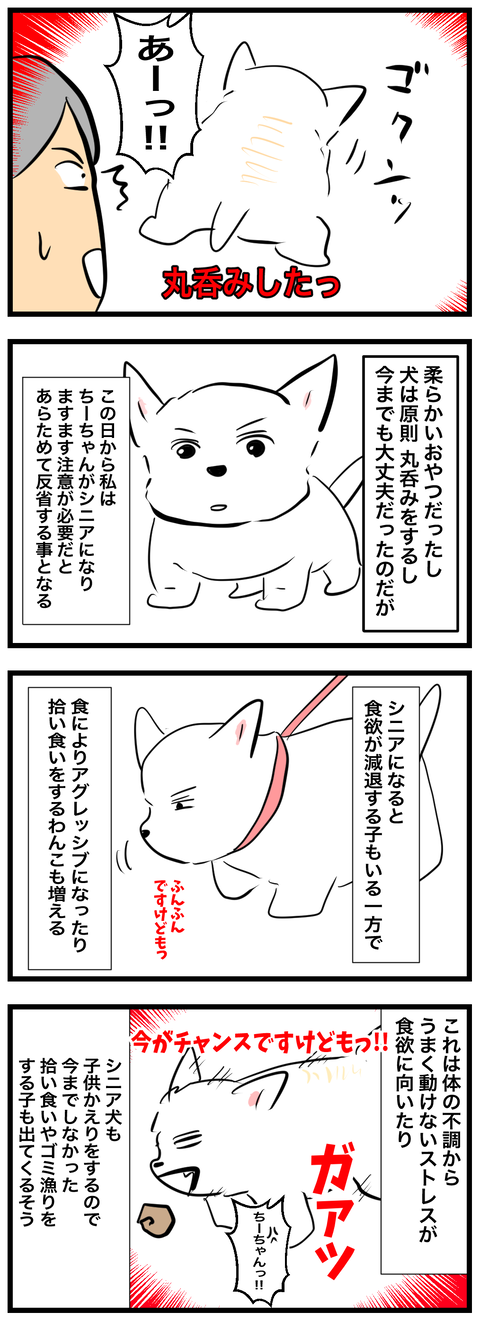 ちーちゃん757-1