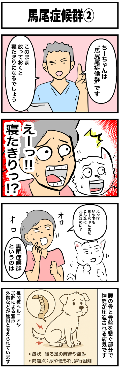 ちーちゃん767