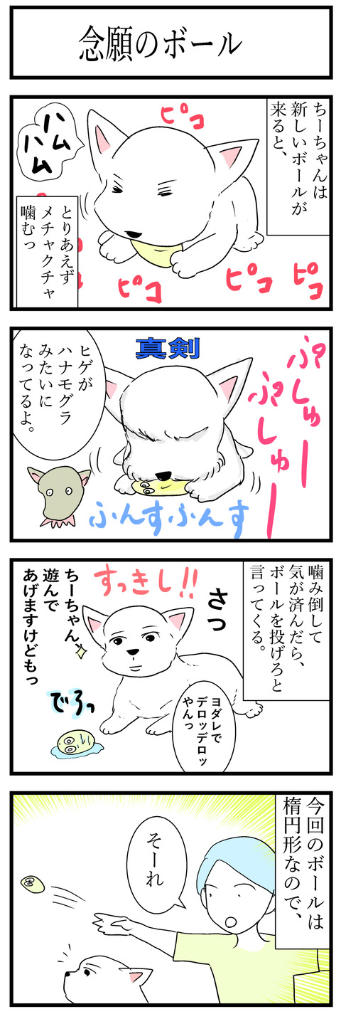 ちーちゃん191-1