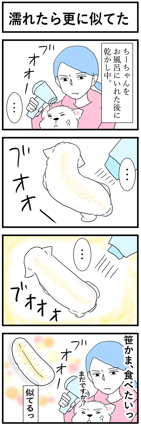 ちーちゃん157