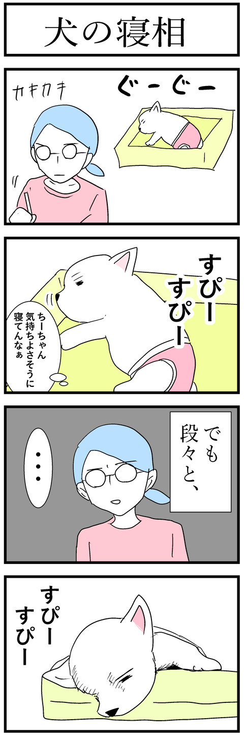 ちーちゃん