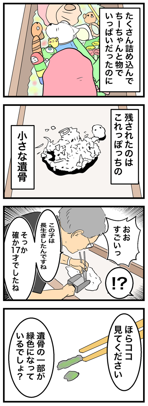 ちーちゃん7-1