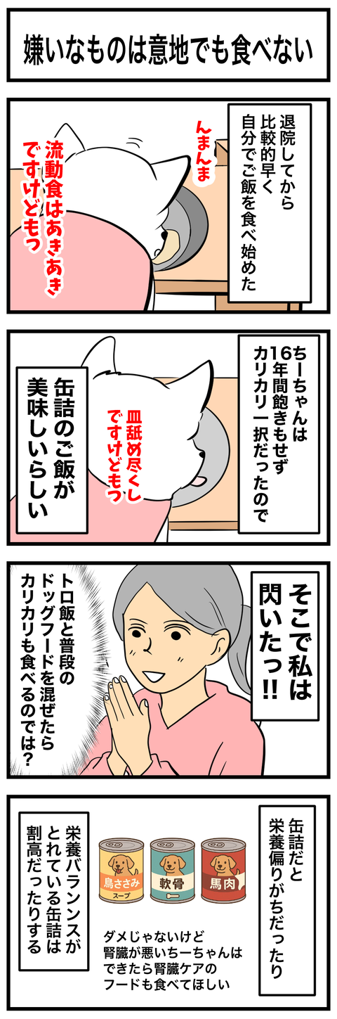 ちーちゃん905