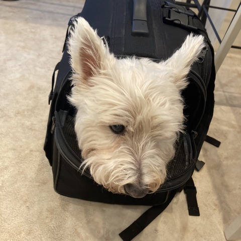 014743CE-DA05-4087-ABFE-19583E255186