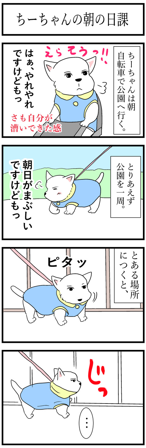 ちーちゃん217-1