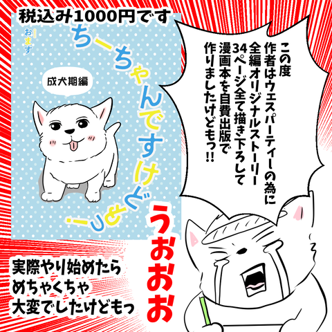 ウェスパーティ3-2