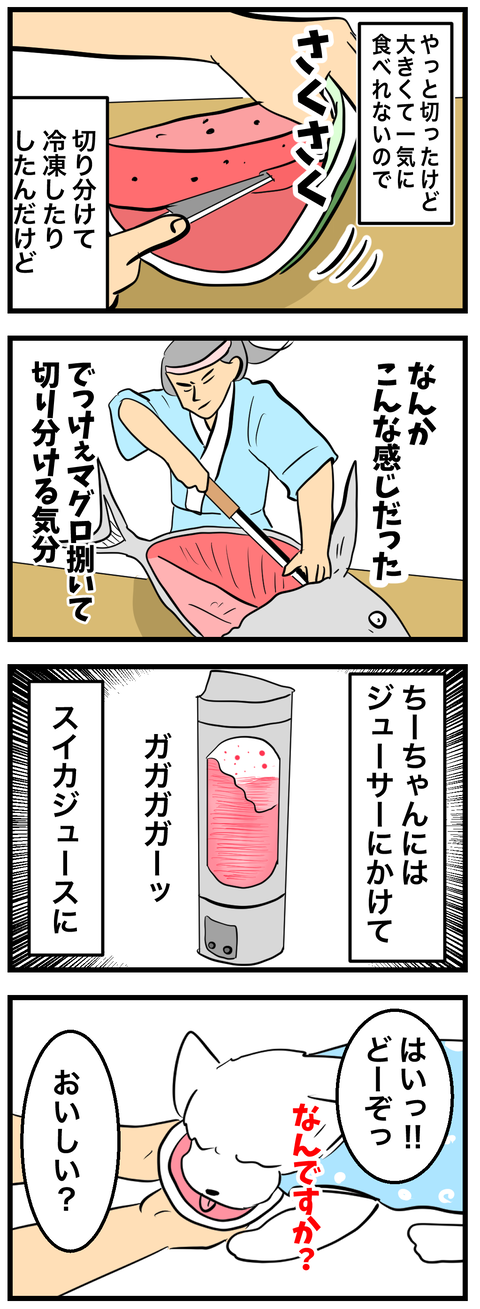 ちーちゃん972