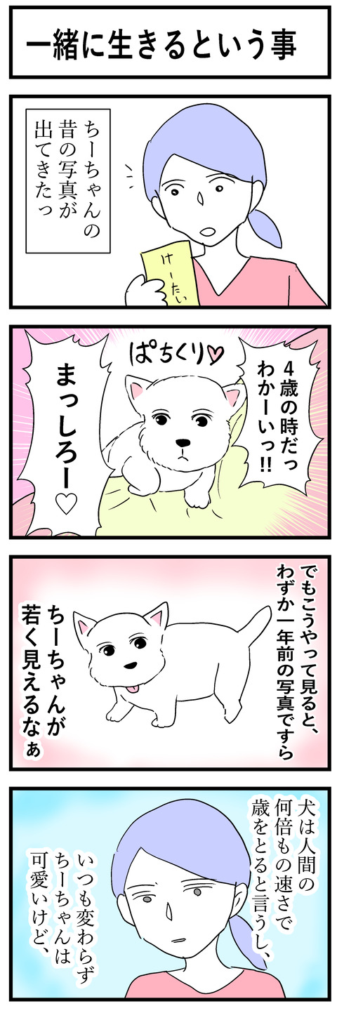 ちーちゃん104-1