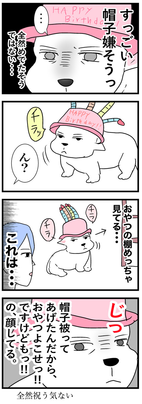 ちーちゃん154-2