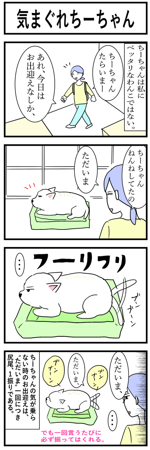ちーちゃん49