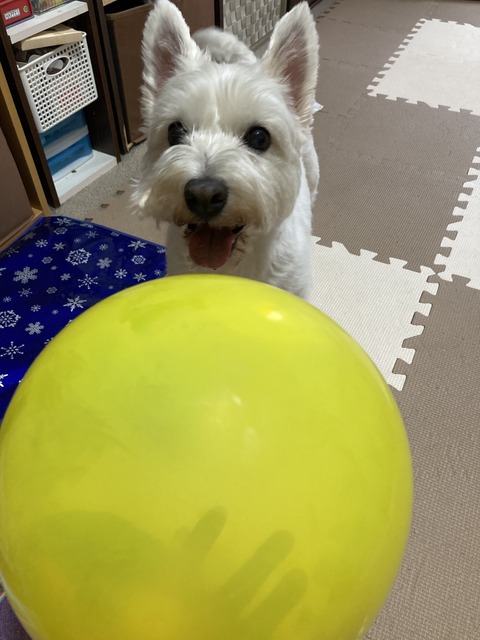 939624C1-A791-401F-B508-3BE23A98F369