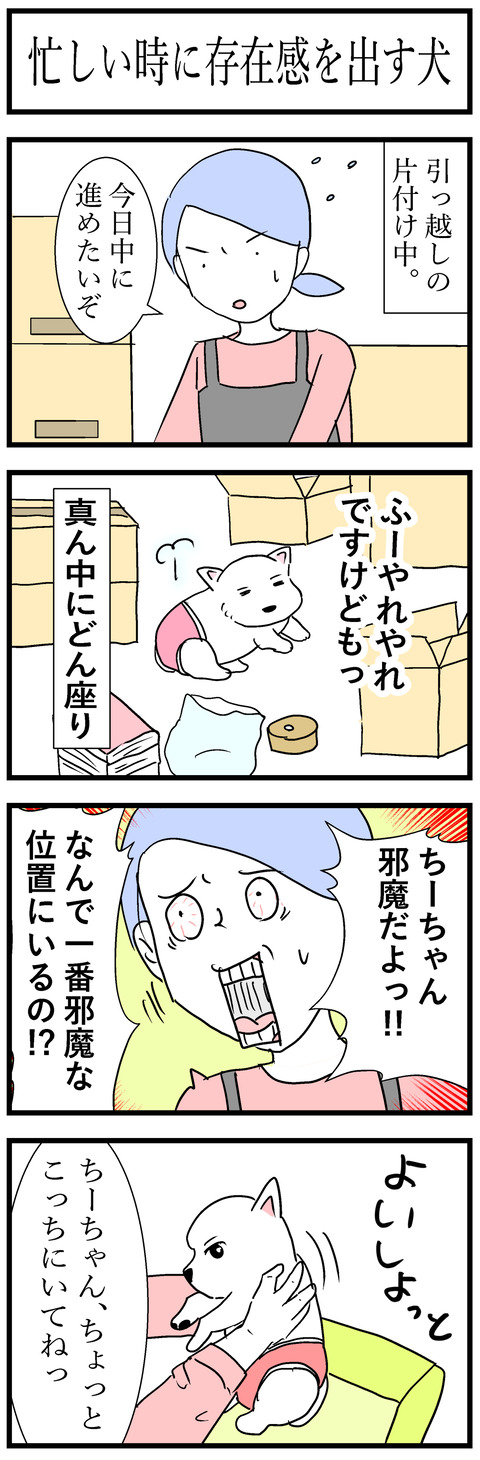 ちーちゃん160-1