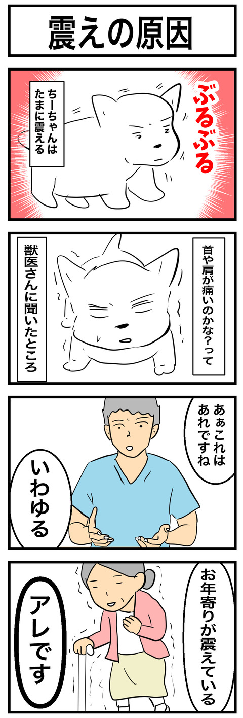 ちーちゃん895-1