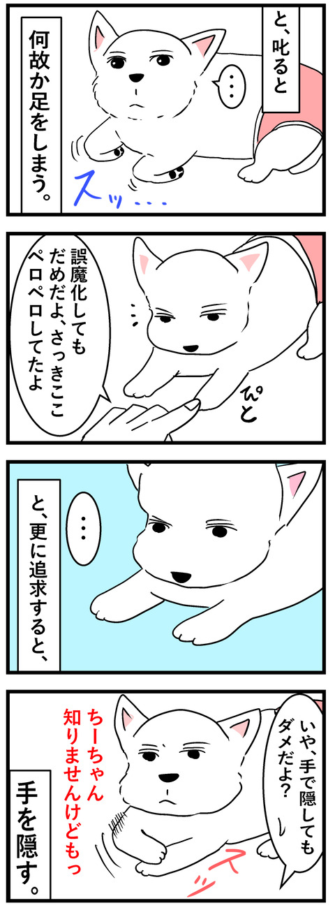 ちーちゃん259-2