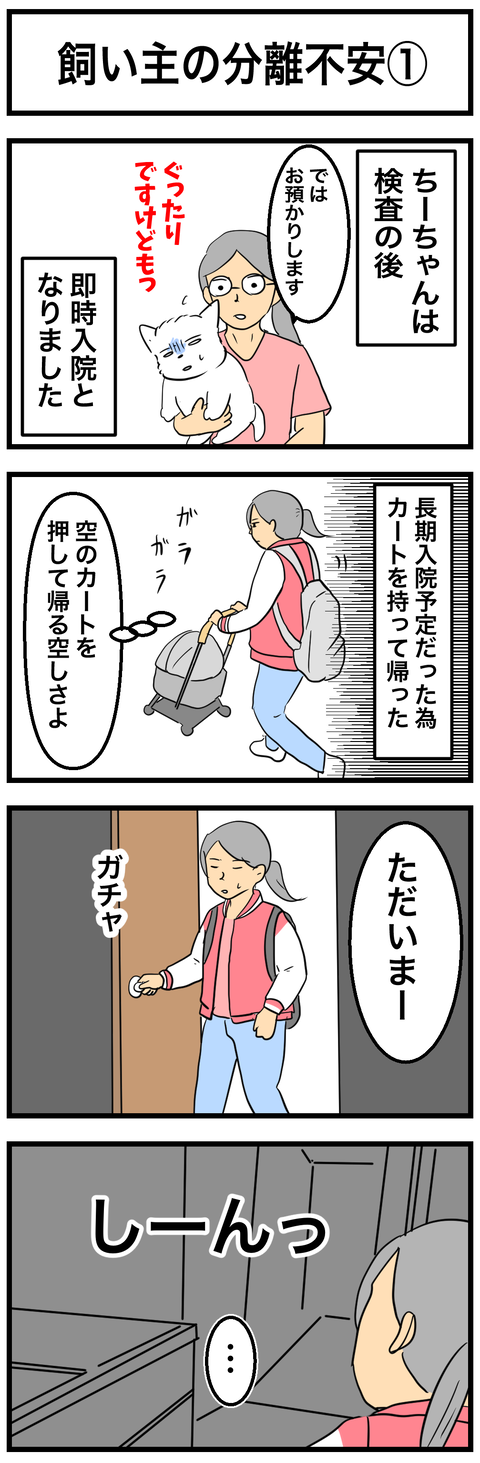 ちーちゃん901-1