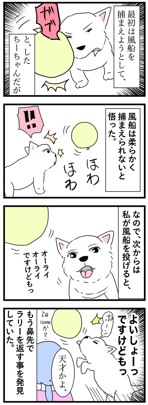 ちーちゃん68-2