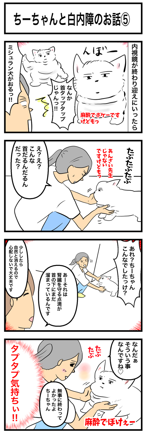ちーちゃん759 2