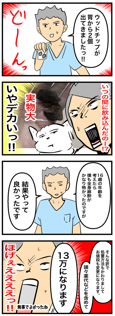 ちーちゃん760