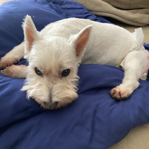 7CF29E81-2BB7-45BB-BF8E-698721CFAB98