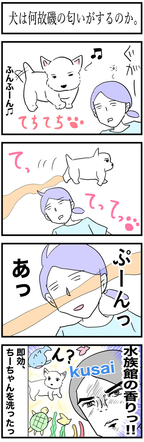 ちーちゃん92