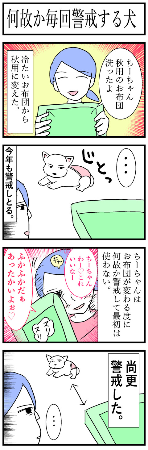 ちーちゃん127
