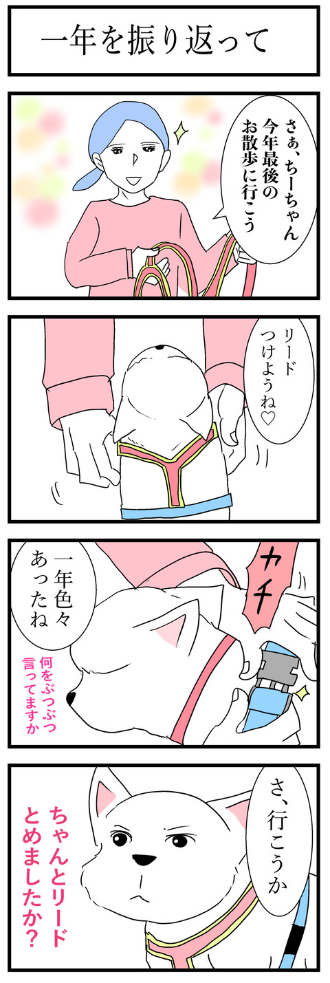 ちーちゃん218-1