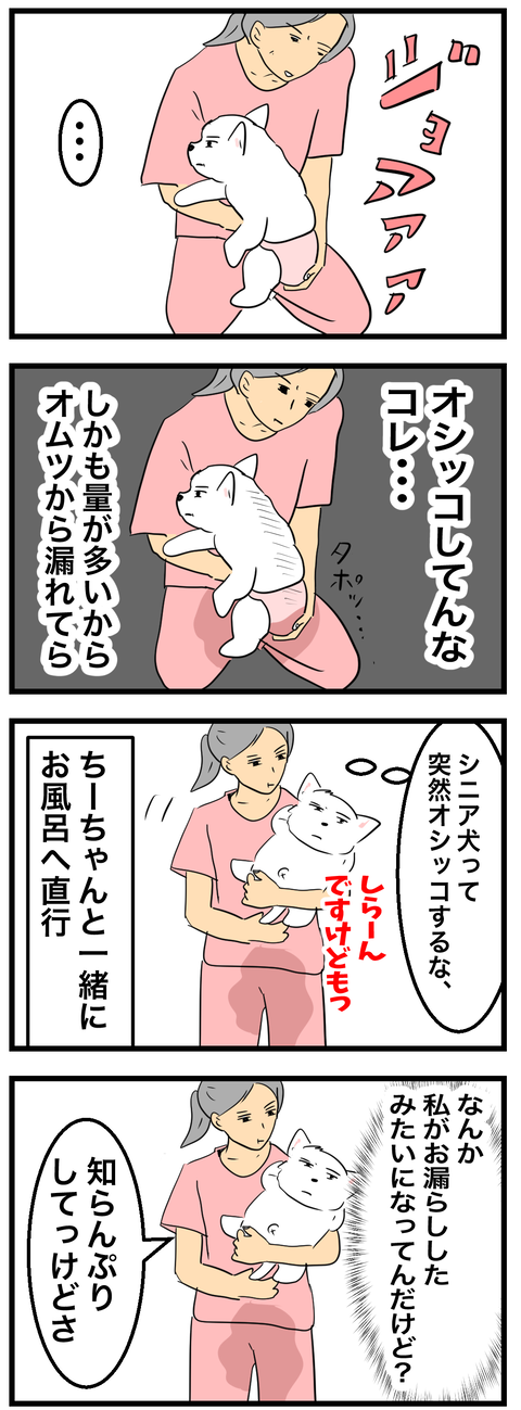 ちーちゃん979