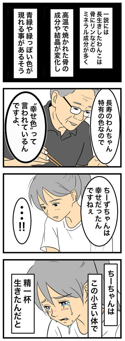ちーちゃん7-2