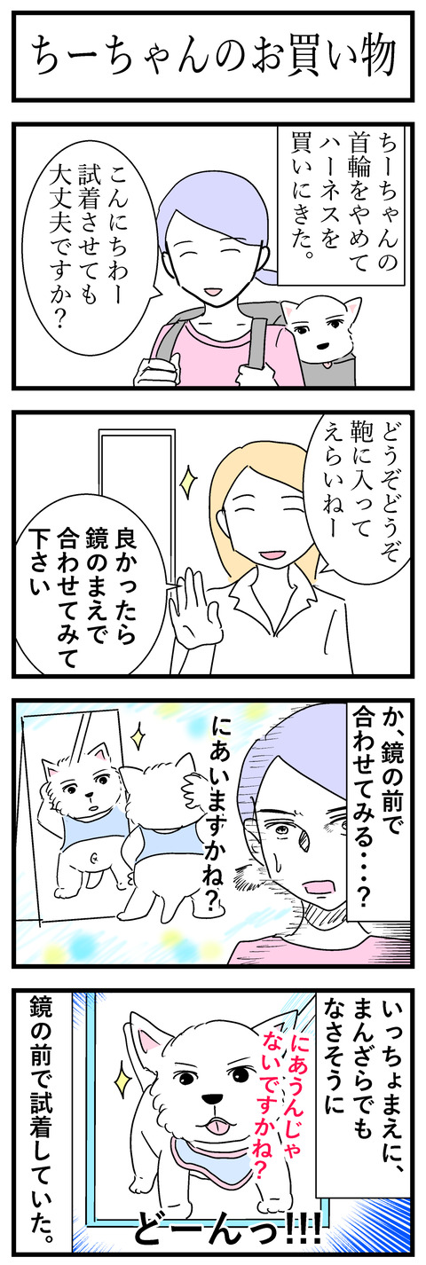 ちーちゃん65